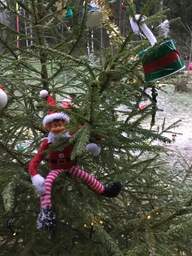 Minni-tonttu roikkuu kuusessa joulukoristeiden seassa.