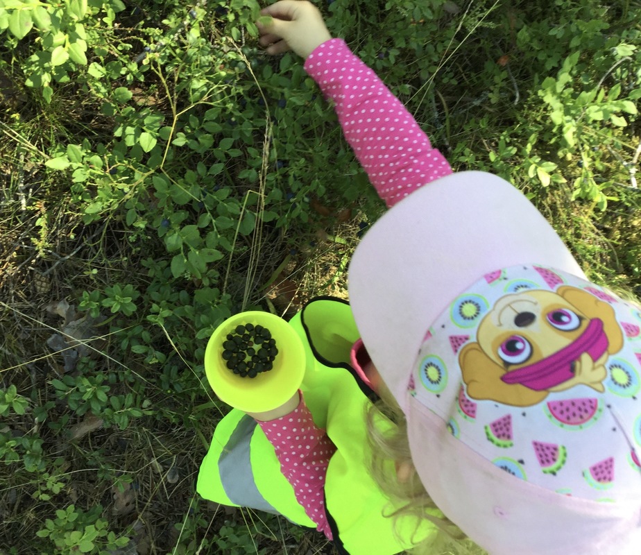 Kaislojen lapset keräämässä mustikoita metsässä.