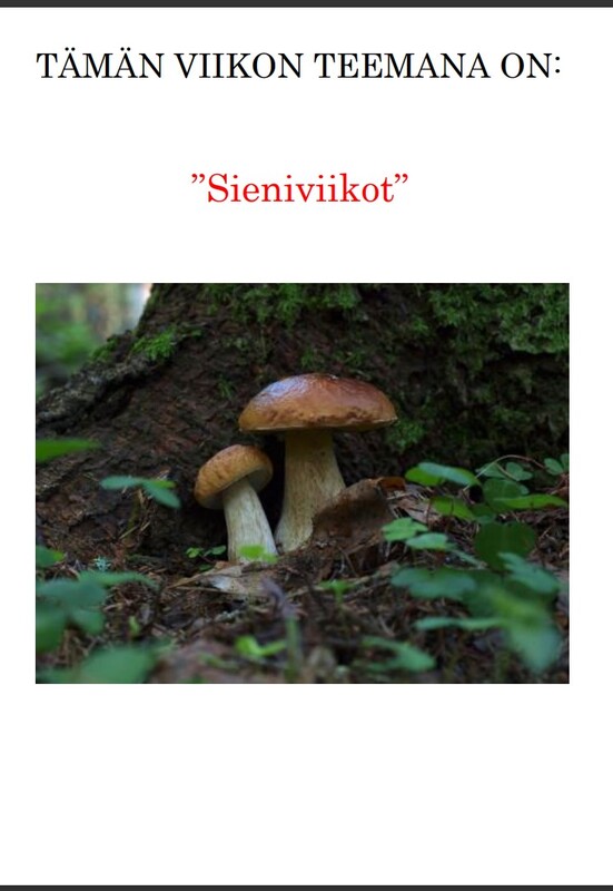 Viikko 36