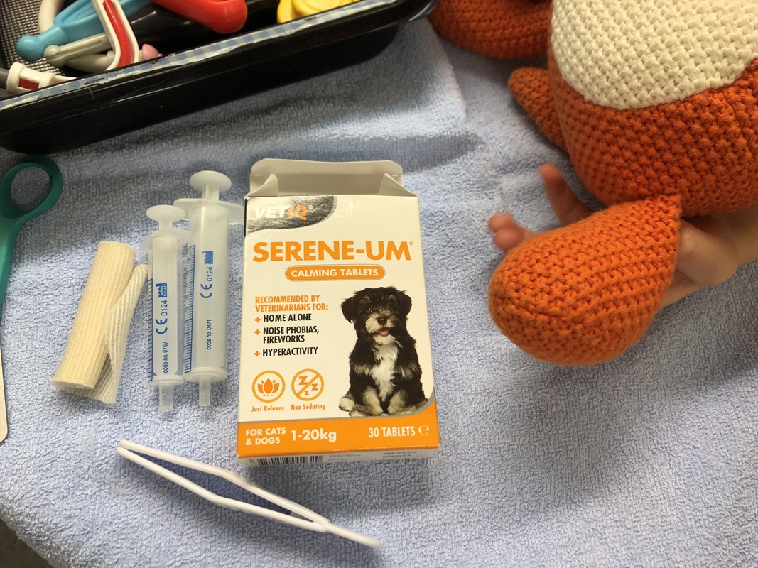 Pehmoeläinten lääkäri piti vastaanottoa 9.10.2025 Haitulassa.