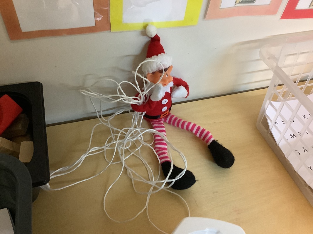 IMG_5907.jpeg