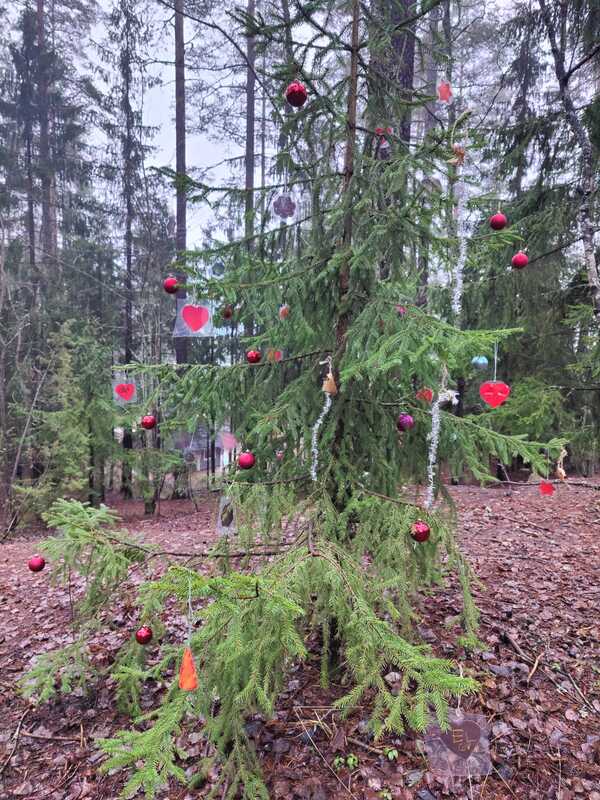 Ke 10.12. Koristelimme joulukuusemme kodalla