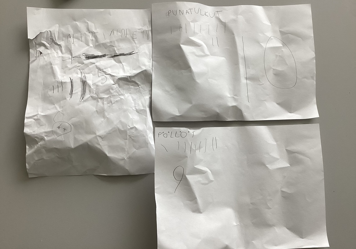 Lintuviikon päätteeksi 22.5. kävimme linturetkellä ja luokassa meillä oli lintuvisa