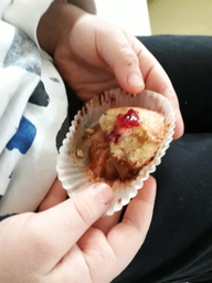 Runebergin torttu