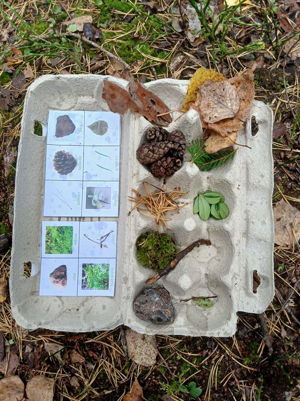 Vi sökte olika naturföremål.