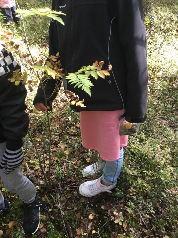 1AE3FD97-67FF-4CA3-AE21-F701EC454A41.jpeg