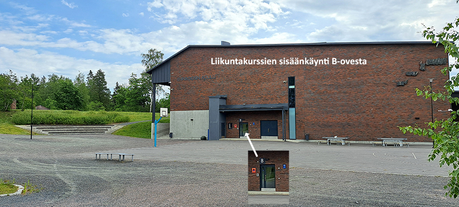 Kuvassa Ehnroosin koulun liikuntasalin sisäänkäynti, B-ovi.
