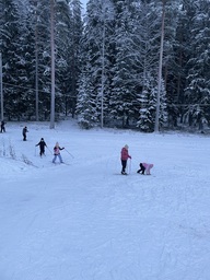 IMG_6274.jpeg