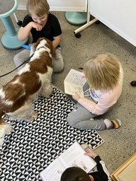 IMG_6901.jpeg