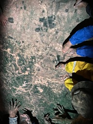 IMG_1772.jpeg