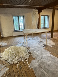 IMG_1780.jpeg