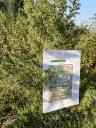 IMG_2629.jpeg