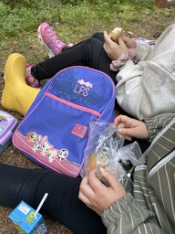 IMG_2633.jpeg