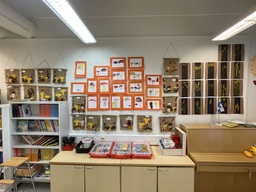 IMG_3098.jpeg