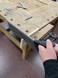 IMG_4424.jpeg