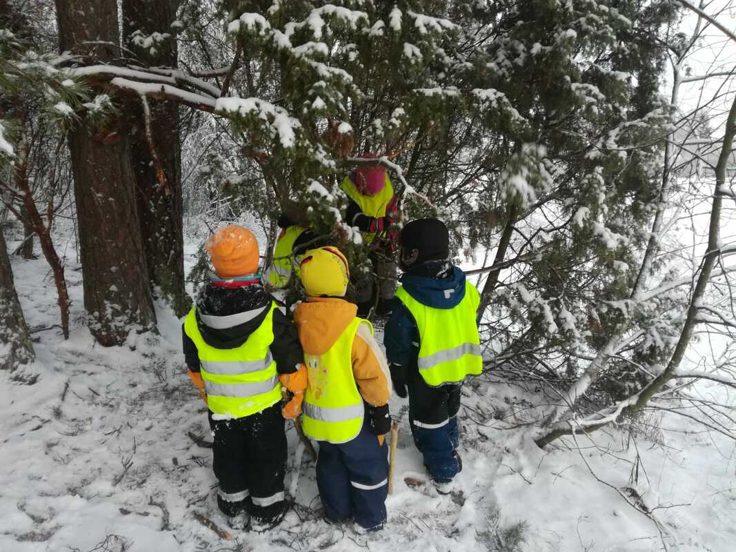 Metsäretki2.jpg