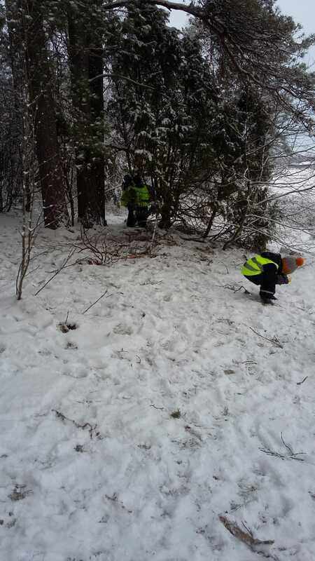 Metsäretki3.jpg