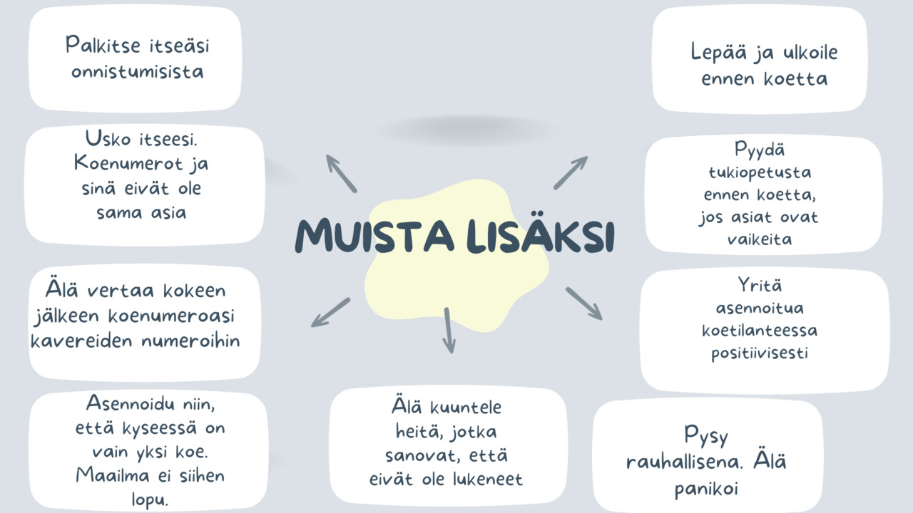 Koetilanteessa2.png