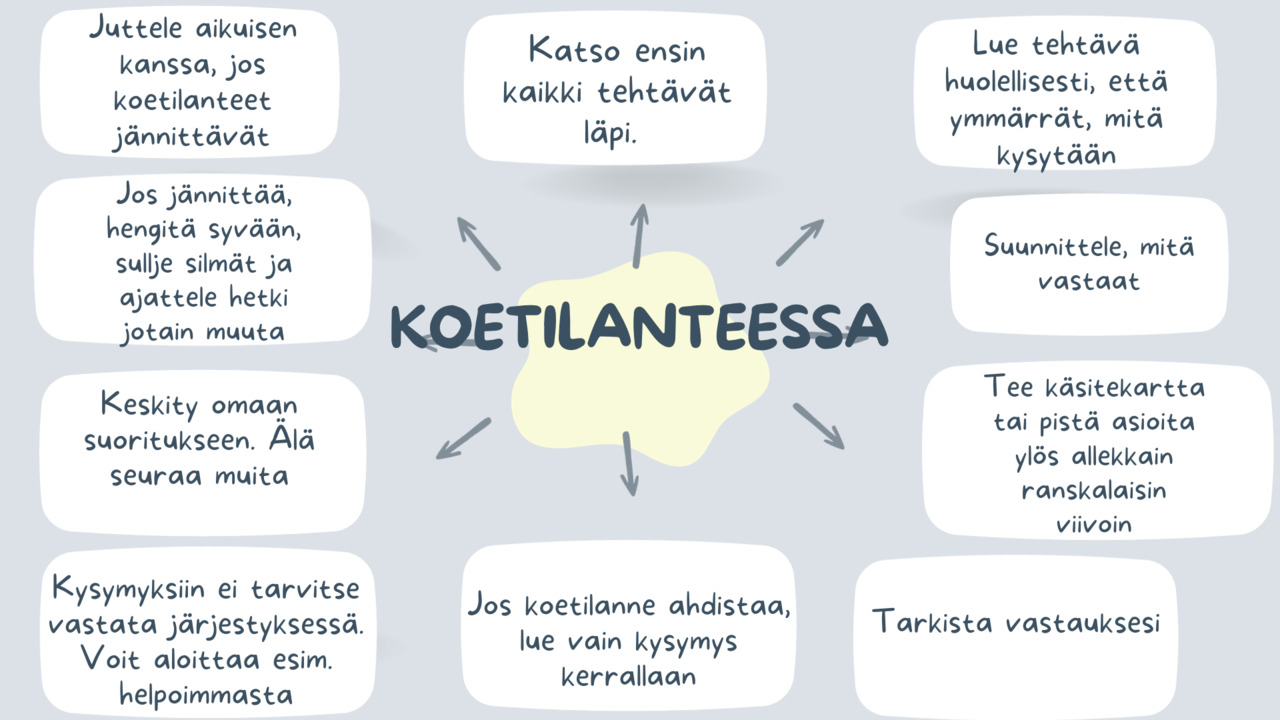 Koetilanteessa.png