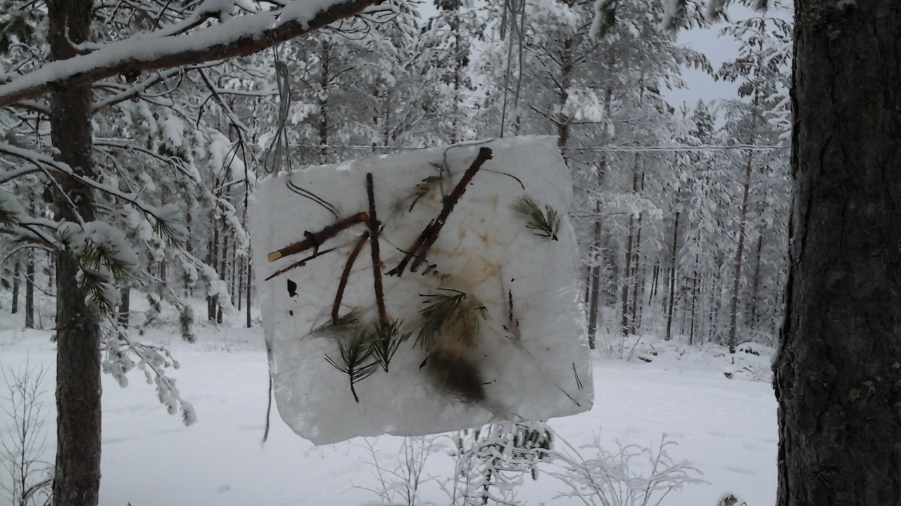 Jäätaulu valmiina.jpg