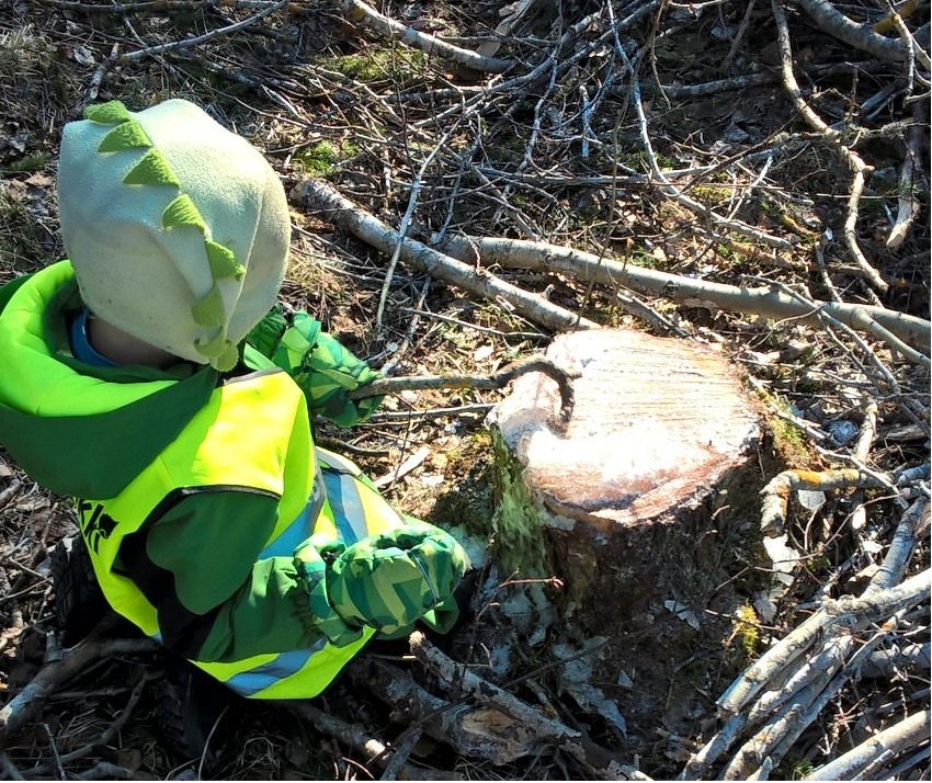 Tutkin ja toimin ympäristössäni.png