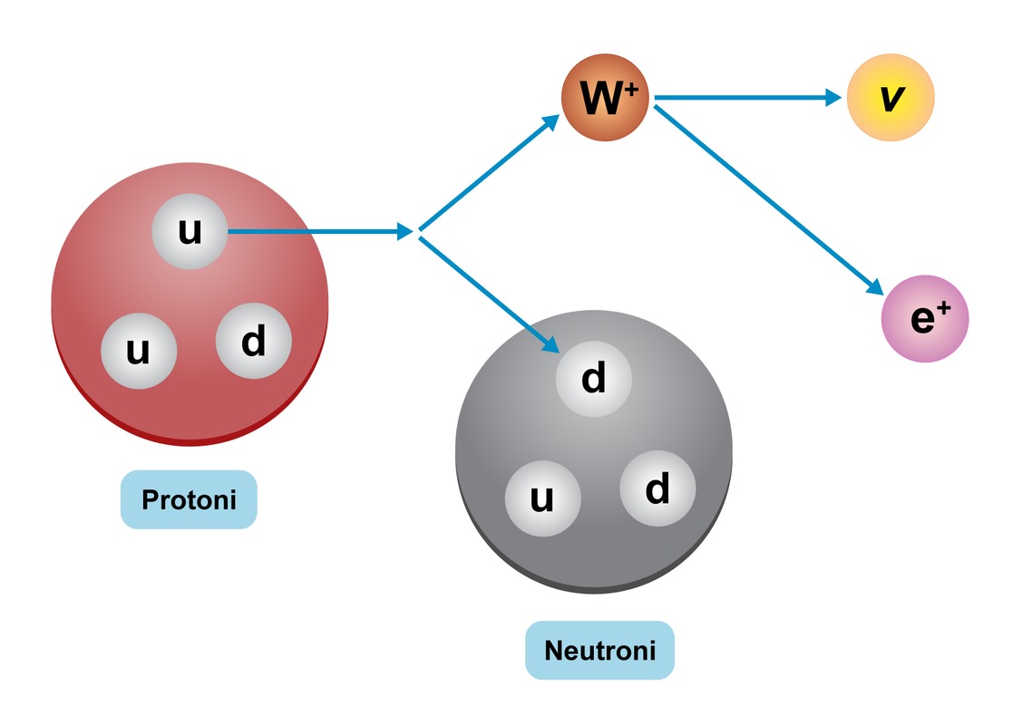 Beeta+ -hajoamisen taustalla on heikko vuorovaikutus