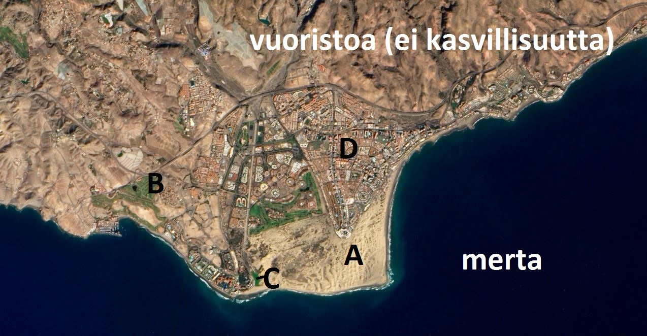 Satelliittikuva Kanarian saarilta (Gran Canaria). A=hiekkadyynejä, B=Golfkenttä, C=rehevöitynyt vesialue, D=kaupunki.