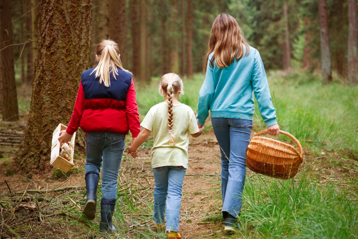 Sienten kerääminen on yksi metsien monikäytön muoto.