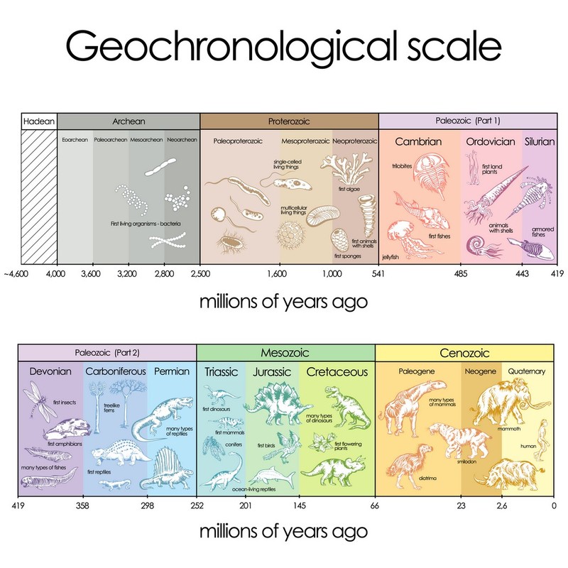 Geochronological scale