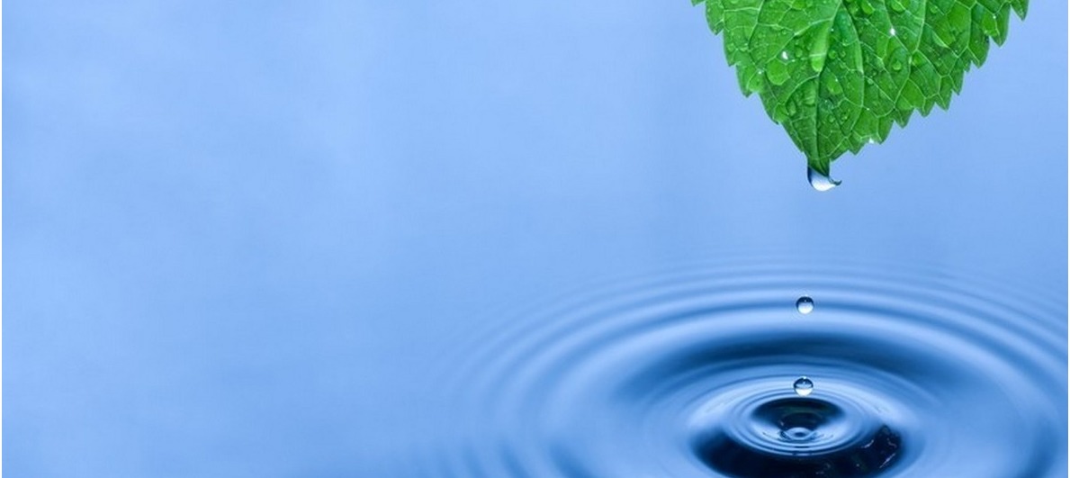 Water is the basis of life.