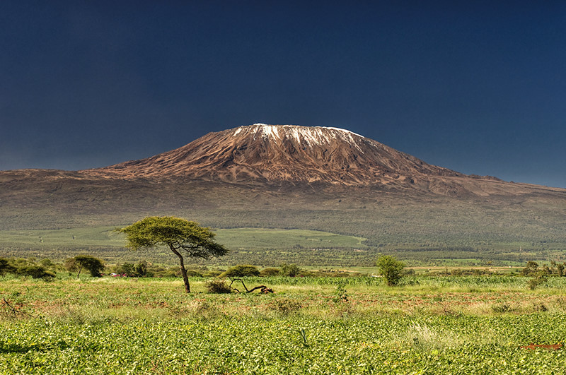 Kilmimanjaro sijaitsee päiväntasaajan Afrikassa. Koska vuori on korkea, sen huipulla voi olla lunta.