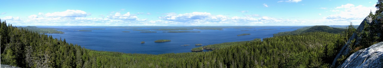 Panoraamanäkymä Pieliselle Kolin kansallispuistossa