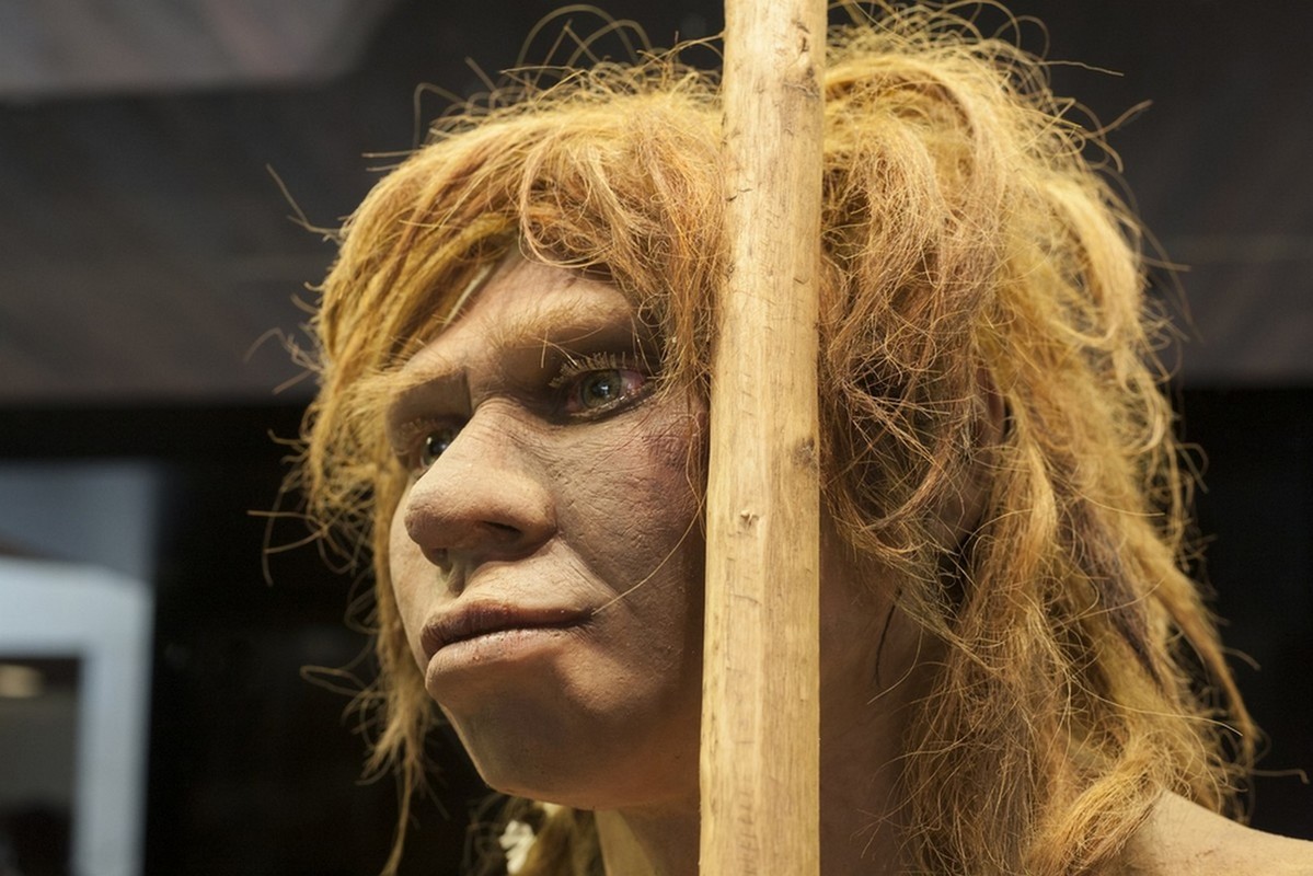 Neandertalinihminen.