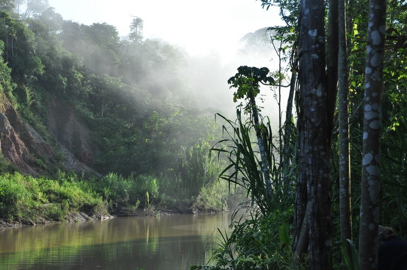 ge-7_peru_amazon_shutterstock_97308065_peda.jpg