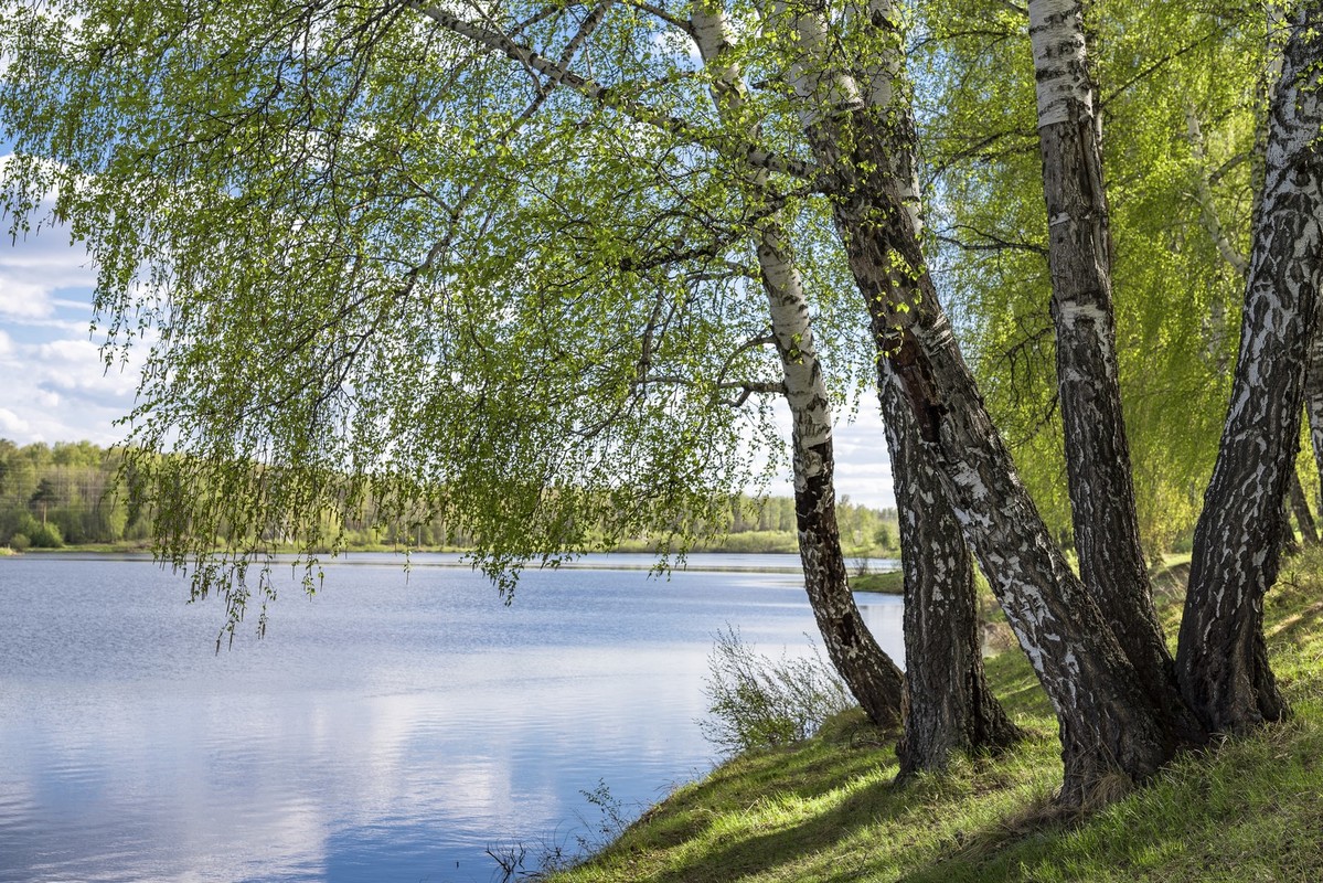 Järvi-Suomen maisemaa.