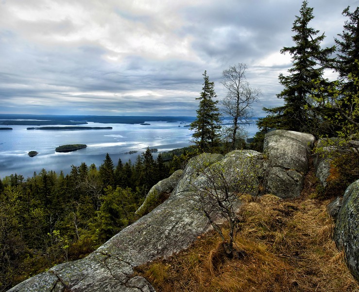 Koli on Suomen kuuluisimpia maisemia.