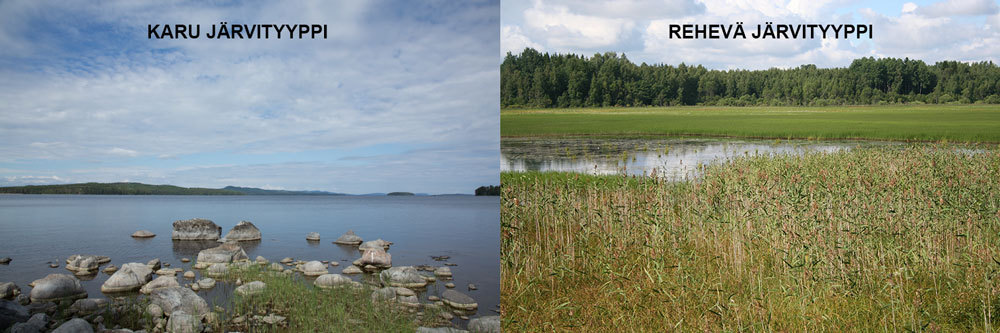 Järvityypit.