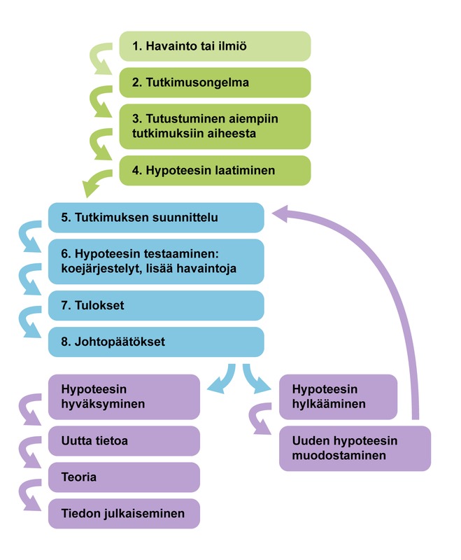 Kokeellisen tutkimuksen vaiheet.