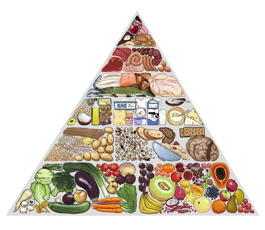 Ruoka-ainepyramidi. Viljoissa on erityisesti hiilihydraatteja ja lihassa proteiinia. Hedelmissä ja marjoissa on paljon vitamiineja. Eräissä eläin- ja kasvituotteissa on paljon rasvoissa.