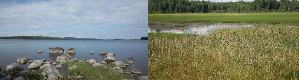 An oligotrophic lake (left) and an eutrophic lake (right).