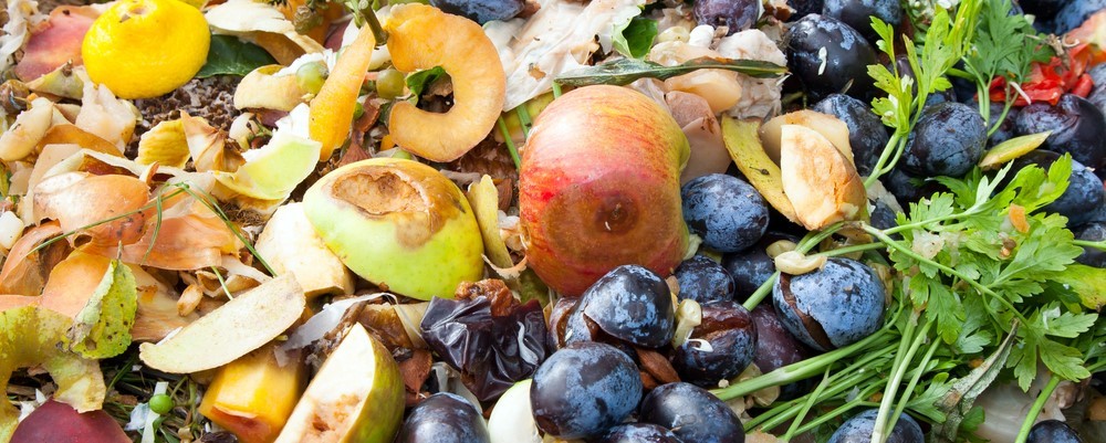 Biowaste is composted and converted into soil for plants.