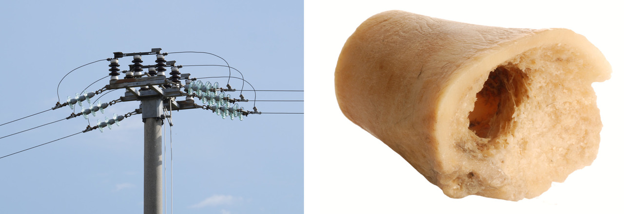 Tubes are durable but light structures. They can be found in electric posts (on the left) or even in bones (on the right).