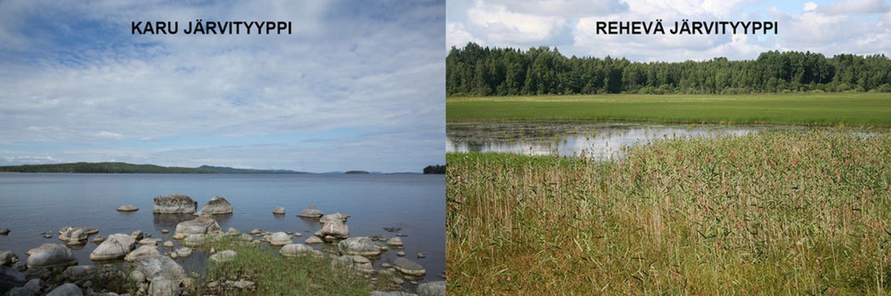 Karu ja rehevä järvi