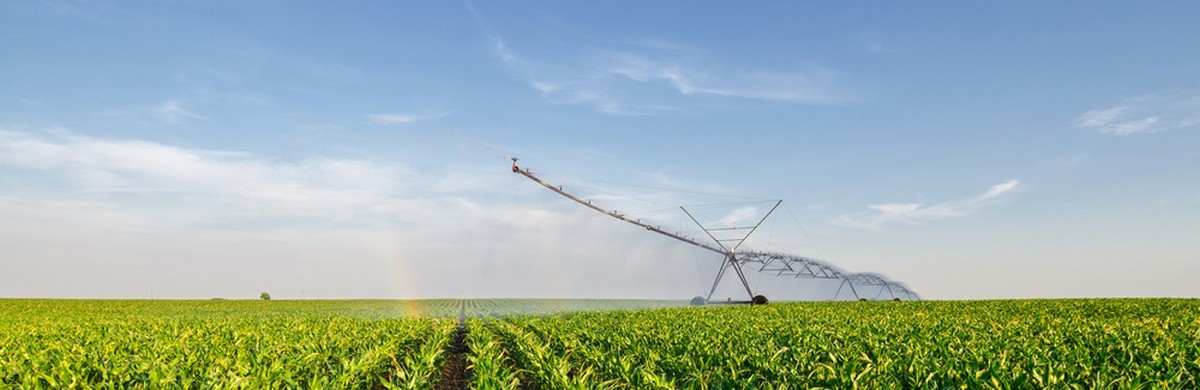 By combining our knowlege of the requirements of different climates, soils and plants, the right crop species and cultivation methods can be selected. This will increase the efficiency and yield of agricultural production.