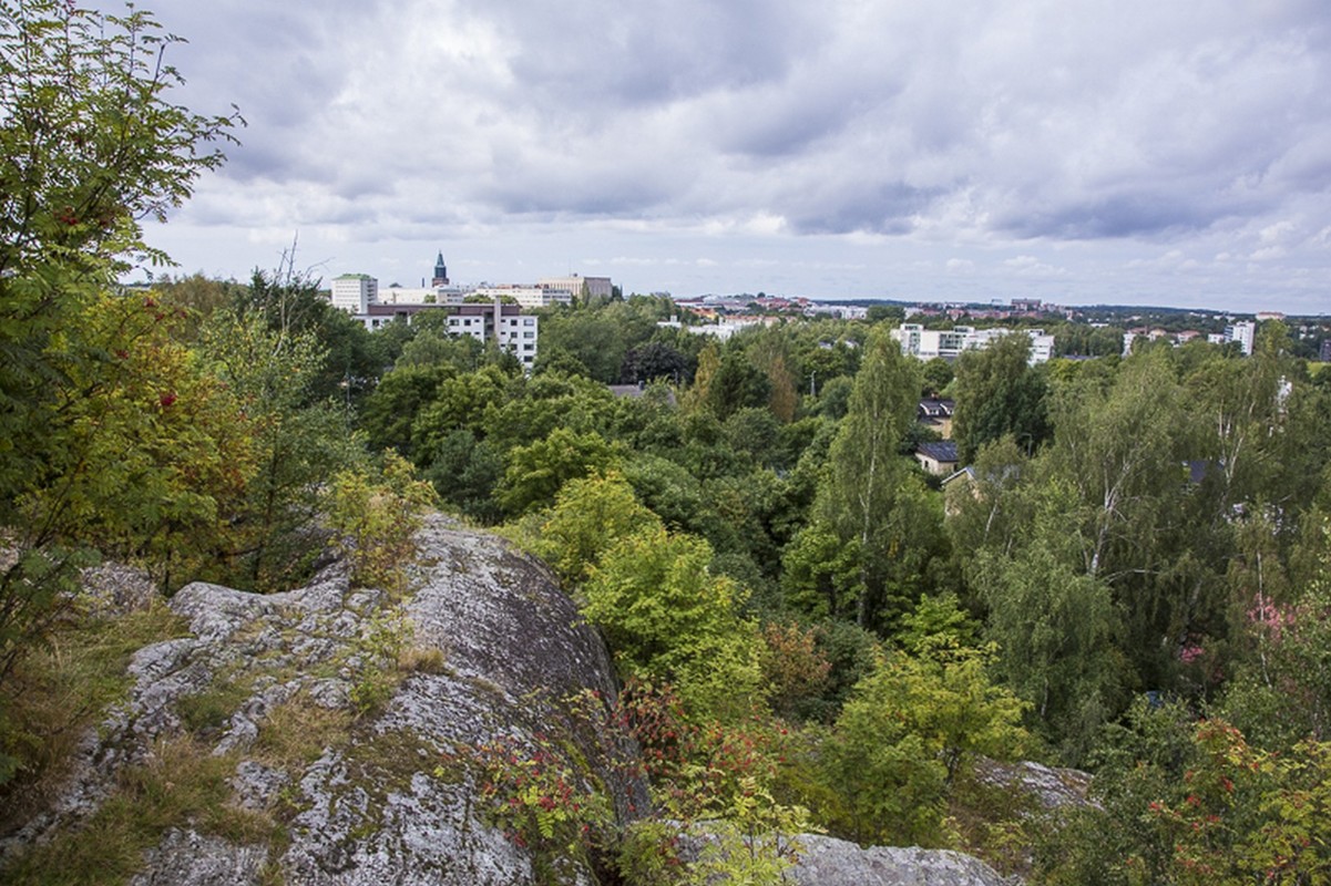 Green areas give color to urban areas. Turku, Finland.