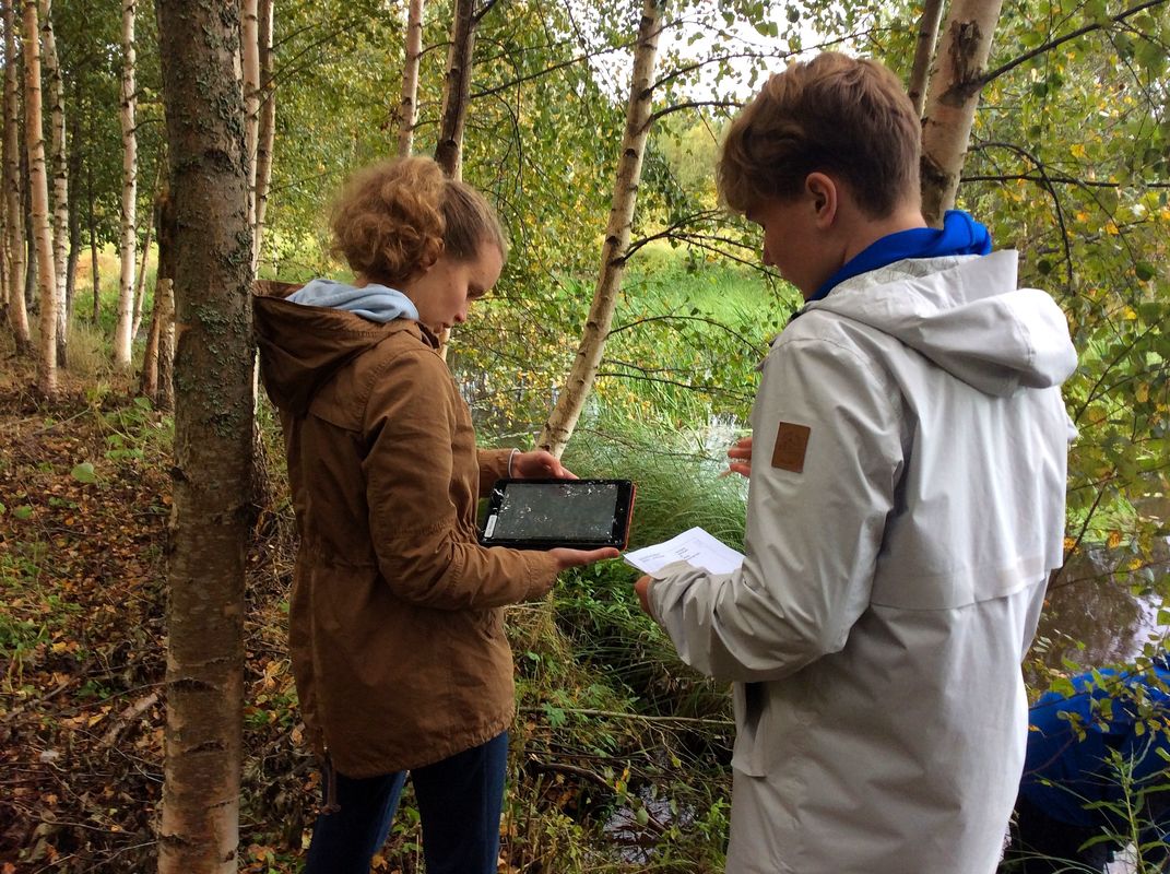 Observational research in the field.