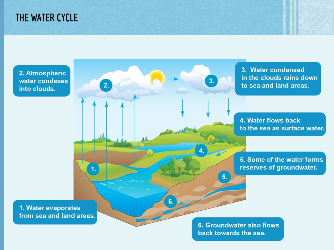 The water cycle.