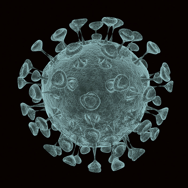 Viruses are not living organisms.