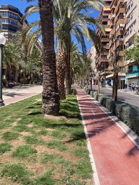 Alicante.jpeg
