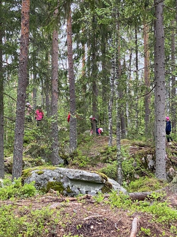 Lähimetsän siimeksessä